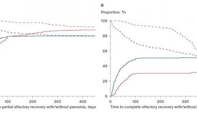 Kaplan-Meier plot time of time to complete olfactory recovery with/without parosima.